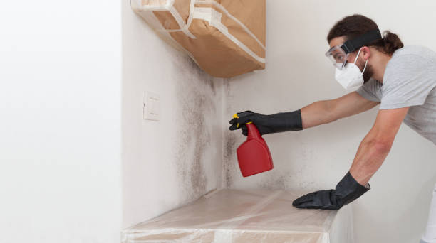 Professional Attic Mold Removal technician working in Lehigh Acres, FL